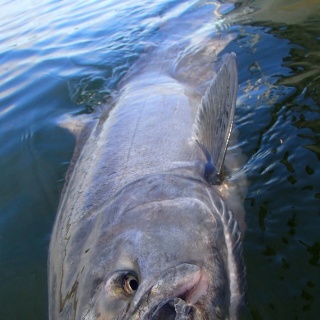 Foto de pesca con mosca