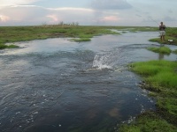 Foto de pesca con mosca