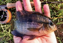 Tajamares, lagunas y arroyos, Ituzaingo, Corrientes, Argentina