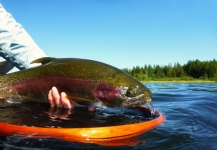 The Lure of Stillwater Fly Fishing by Brian Chan