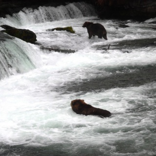 Fly fishing picture