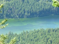 An extensive shoal that extends right across a lake. The dark spots are mats of rooted submergent vegetation that is home to scuds, leeches, mayfly nymphs, damselfly and dragonfly nymphs. Chironomid larvae are found buried in the light coloured marl botto