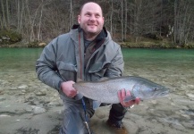 Flyfishing for marble trout and danube salmon