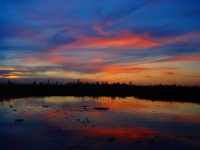 Fly fishing picture