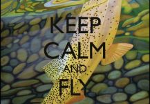  Mira esta Genial imagen de Arte de Pesca con Mosca de Dezmin Schultz | Fly dreamers