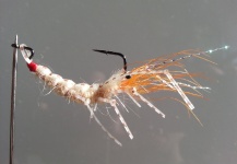 Fly-tying for Spotted Seatrout - Picture by Troels KB 