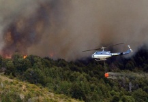 Colaboración con brigadistas Parque Nacional Los Alerces