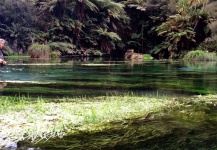  Trucha arcoiris – Gran Situación de Pesca con Mosca – Por Nigel Juby