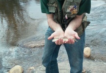 Fly-fishing Pic of von Behr trout shared by Ben Drumright | Fly dreamers 