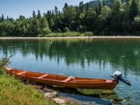 Fly fishing picture