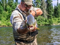Fly fishing picture