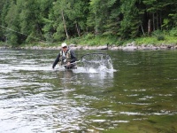 Fly fishing picture
