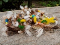 Fly fishing picture