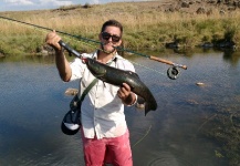 Fly-fishing Photo of Blue Wolf Fish shared by Joaquin Mendez – Fly dreamers 