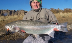 Santa Cruz Steelhead, Comandante Luis Piedra Buena, Santa Cruz , Argentina