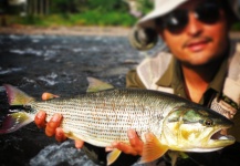  Imagen de Pesca con Mosca de Picuda - Salminus affinis por JUAN DAVID IDARRAGA LEAL | Fly dreamers
