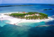 Heavily discounted fly fishing trip to Belize
