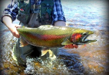  Foto de Pesca con Mosca de Trucha arcoiris compartida por MARCELO ROIG – Fly dreamers