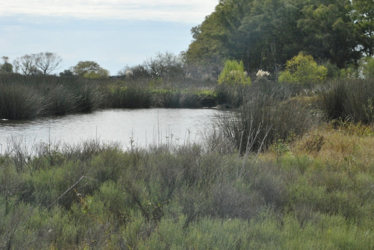 arroyo arias, Luján, Buenos Aires, Argentina