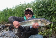 Nicolas  Grosz 's Fly-fishing Image of a Shad – Fly dreamers 