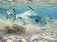 Fly fishing picture