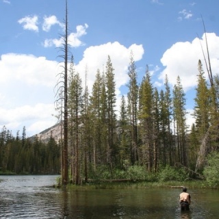 Fly fishing picture