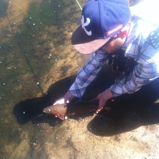 Fly fishing picture