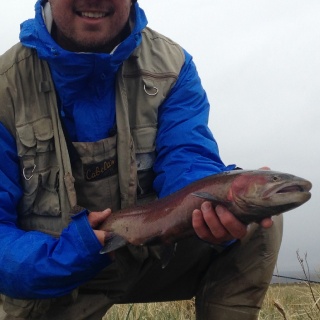 Fly fishing picture