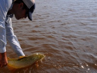 Foto de pesca con mosca