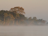 Foto de pesca con mosca