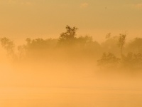 Foto de pesca con mosca