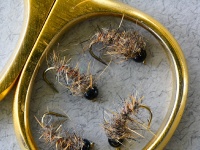 Fly fishing picture