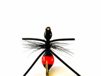 Fly fishing picture