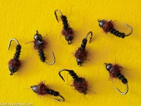 Fly fishing picture