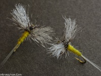 Fly fishing picture