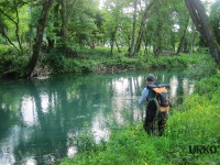 Bistra River