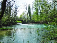 Famous deep pool under the wooden bride ... Bistra River