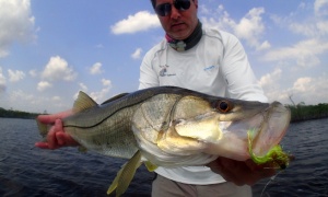Everglades / 10.000 islands, Miami, florda, United States