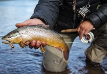 How to Fight Wind in the Magic Waters of Patagonia: Equipment Selection