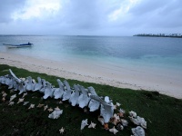 Isla de habitada por Kunas, esqueleto de ballena