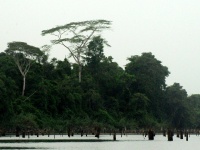 Lago Gatún