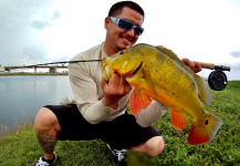 Fly-fishing Picture of Peacock Bass shared by Hai Truong – Fly dreamers
