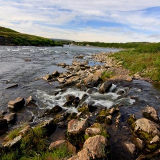 Fly fishing picture