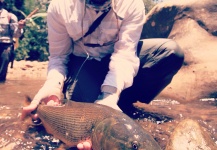  Gran Situación de Pesca con Mosca de Dorado – Imagen por Francisco Villa en Fly dreamers