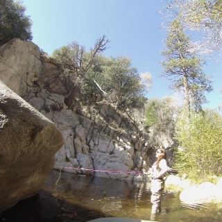 Fly fishing picture