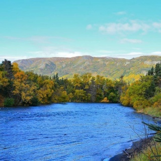 Fly fishing picture