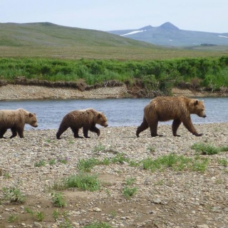 Fly fishing picture
