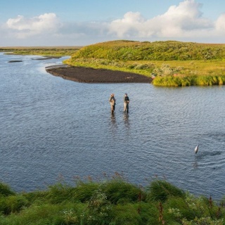 Fly fishing picture