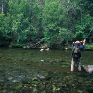 Fly fishing picture
