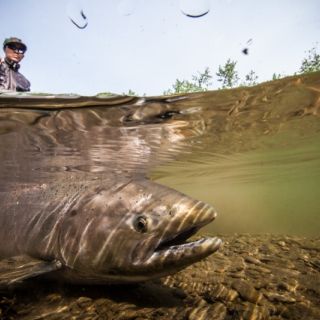 Fly fishing picture